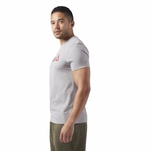 Reebok Linear Read T Shirt Herren - Grau - DE 315-FIH